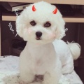 书友929146166的头像