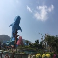 君君的头像