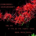 雨女无瓜的头像