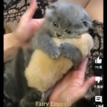 Mary.的头像