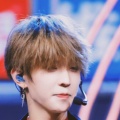 小狐狸是我的的头像