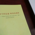 会飞的北极熊的头像