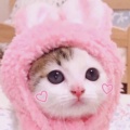 loveJOJO的头像