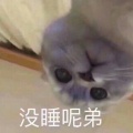 君酒千杯醉的头像
