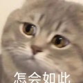 自律一点的头像