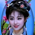 金龙的头像