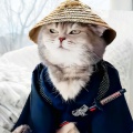 拾笔写青天的头像