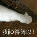 取名真难的头像