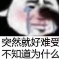 书友125789的头像