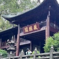 言午高阳的头像