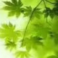 小玩子820的头像