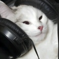 书友 2915493405的头像