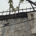 书友1163076187的头像