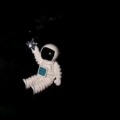 七号星的头像