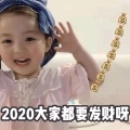 胖美美的头像