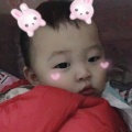 多肉果子的头像