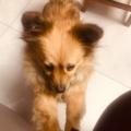 书友161228119的头像