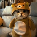 函总的头像