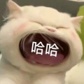 看综艺看小说的头像