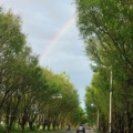 lby_wang的头像