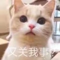 1169937659的头像