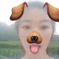 书友851752630的头像
