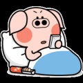 看书使人快乐的头像