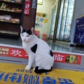 喵桑的头像