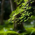 雨涵的头像