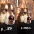 930785007的头像