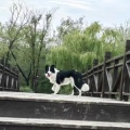 书友789745796的头像