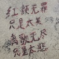 暖时的头像