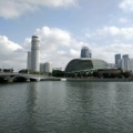 snoopy的头像