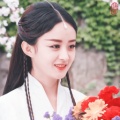 宝贝紫瑶的头像