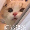 锕糖的头像
