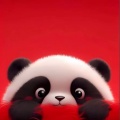 哈罗先生的头像