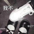 莫然的头像
