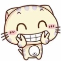 一挖一兜的头像