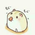 巧依的头像