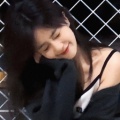 萝与萋的头像