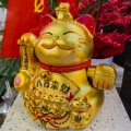 长安姚姚的头像