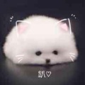 诺溪子的头像