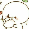 长草颜的头像