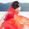 明月照人心的头像