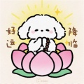 吉祥小尹的头像