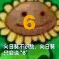 悦.的头像