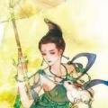 书友8073994466的头像