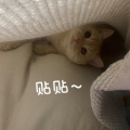 7777的头像