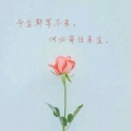 心悦的头像