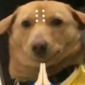 书友江江的头像